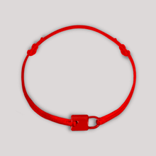Load image into Gallery viewer, Colourway - Fiery Red
